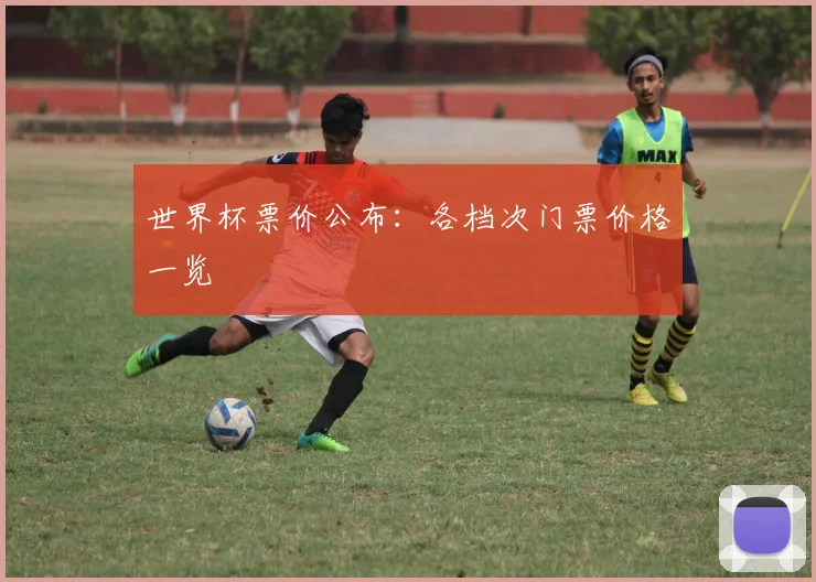 世界杯票价公布：各档次门票价格一览