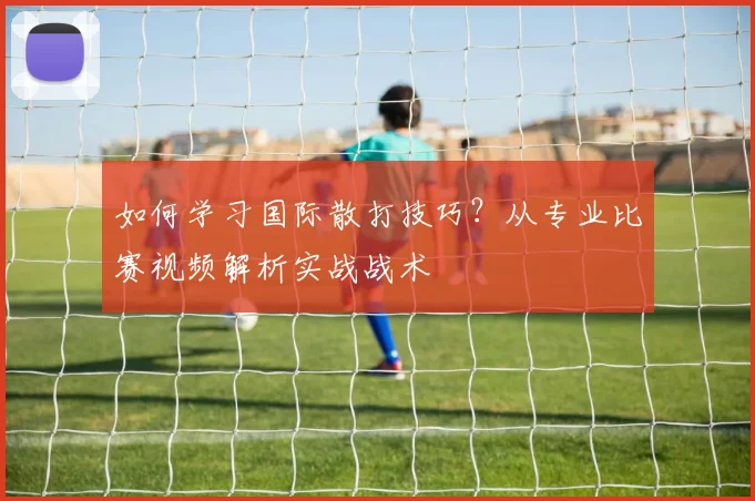 如何学习国际散打技巧？从专业比赛视频解析实战战术